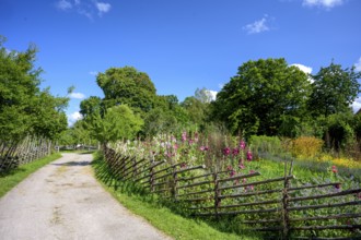 A path along the colorful cottage garden of the famous botanist and taxonomist Carl von Linne with