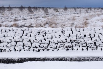 Peat cut in sod in a wintry moor, Goldenstedt, Lower Saxony, Germany
