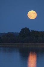 Rising full moon on the shores of Schaalsee, Zarrentin, Mecklenburg-Western Pomerania, Germany