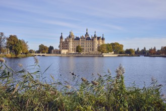 Castle, lake Burgsee, reed (Phragmites australis), trees, bushes, car bridge and pedestrian bridge,