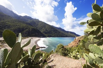 View of the pebble beach and Porto Bay, a UNESCO World Heritage Site, Ota, west coast of Corsica,
