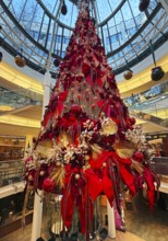 Schadow arcades, elegant shopping center with Christmas decorations and a large Christmas tree