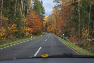 Herbstwald an der Bundestraße 2, View from the car, Gräfenberg, Upper Franconia, Bavaria, Germany