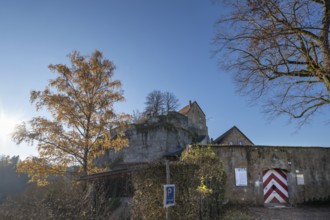 Autumnal birch (Betula) in front of Pottenstein Castle, created around 1070, Pottenstein, Upper