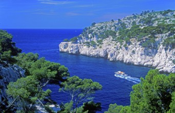 Boat, Port-Pin bay, Massif des Calanques, department of Bouches-du-Rhône, southern France, June