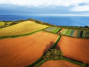 Colours of autumn Fields and Farms over Sheldon from a drone, Torbay, Devon, England, United