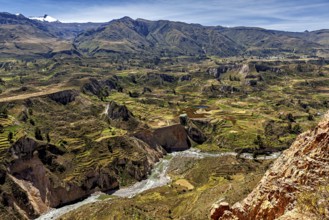 Terraced fields and a river surrounded by mountains under clear skies, the landscape of the Colca