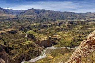 Landscape with terraces, mountains and a river under a blue sky, The landscape of the Colca Canyon