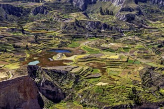 Extensive terraced fields with colorful plants, mountains in the background and lakes in the