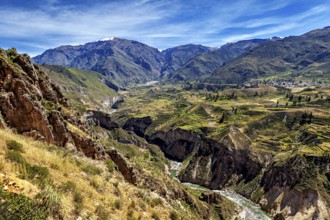 Deep gorge with river and terraced fields in the mountains, The landscape of the Colca Canyon in