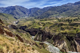Valley with terraced fields surrounded by mountains and a river, The landscape of the Colca Canyon