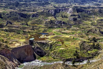 Large-scale view of terraced fields in a vast mountain landscape with a river, The landscape of the