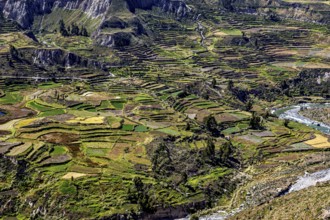An overview of terraced fields and a river nestled in a mountainous landscape, The landscape of the