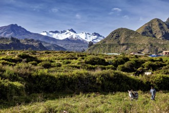 Green pasture with mountains in the background and a person with donkey in the foreground, farmers