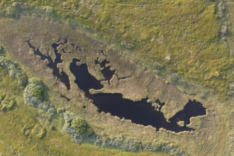 Aerial view of a small pond surrounded by green moor and thick vegetation, Varanger Fjord, Barents