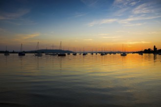 Sailboats, sunset, Allensbach, Untersee, Lake Constance, Baden-Württemberg, Germany