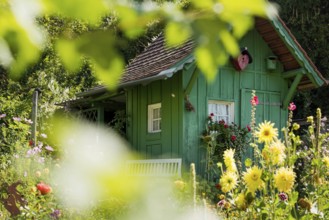 Green garden shed and summer flower garden, allotment garden, Meersburg, Lake Constance,