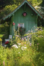 Green garden shed and summer flower garden, allotment garden, Meersburg, Lake Constance,