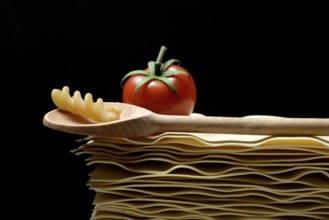 Lasagna, lasagna leaves and cooking spoon with fusilli noodle, noodle nest pasta type