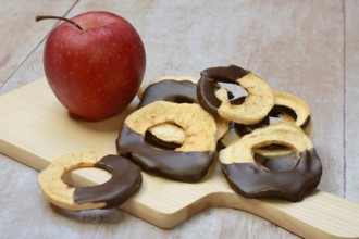 Apple rings, coated with chocolate, dried fruit