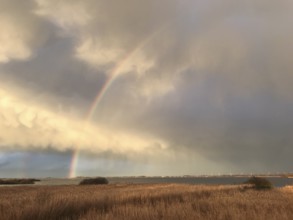 Dramatic cloud formations over a reed area Reeds with a rainbow in the evening sky on the southern