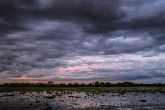 Dramatic cloud atmosphere over flooded wetlands with wind turbines in the background and bright