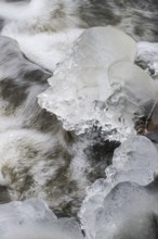 Natural ice sculptures on a stream, Emsland, Lower Saxony, Germany