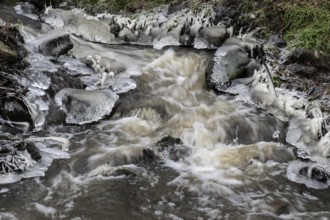 Natural ice sculptures on a stream, Emsland, Lower Saxony, Germany