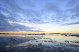 Wide water landscape with cloudy sky at sunset Moist meadows in Ochsenmoor during high tide, Dümmer