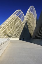 Zayed National Museum in Abu Dhabi, memorial to the late Zayed bin Sultan Al Nahyan, the museum is