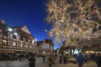 The historic Dürerhaus, Christmass-lit tree on the right, Beim Tiergärtnertor, Nuremberg, Middle
