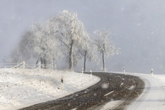 Winter in the Swabian Jura. Country road with snowy landscape near Westerheim, Alb-Donau-Kreis,