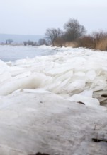The banks of the Elbe in winter with a thick layer of ice, bare trees and reeds in a cool