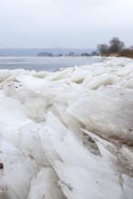 The banks of the Elbe in winter with a thick layer of ice, bare trees and reeds in a cool