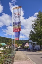 Flags on flagpoles, 750 years of Gutach Schwarzwaldbahn, The home of the Bollenhut, ... always