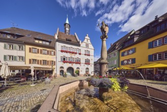 Market fountain, decoration with plants and flowers, historic town hall, outdoor area of a