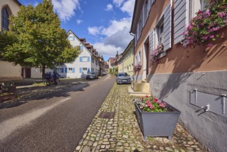 Residential buildings, apartment buildings, houses, general architecture, façade with windows and