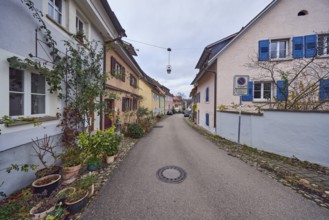 Residential buildings, multi-family houses, façade with windows and trellises, flower pots,