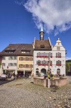 Historic town hall, market fountain, general architecture, historic buildings, houses, town hall