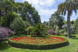 A blooming garden with palm trees and colorful flowers under a blue sky, plants on Batumi