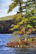 Lakeside, autumn leaves, Indian summer, wilderness, Maine, New England, USA