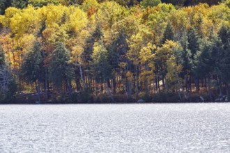 Lakeside, pond, autumn leaves, Indian summer, Maine, New England, USA