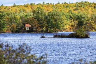 Cottage on the shore of a lake, autumn leaves, Indian Summer, Maine, New England, USA