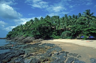 Umbrellas, palm beach at The Narima Resort on the island of Ko Lanta, Thailand, December 2002,
