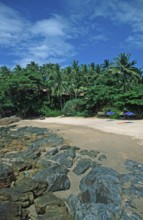 Umbrellas, palm beach at The Narima Resort on the island of Ko Lanta, Thailand, December 2002,