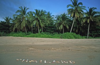 Palm trees, Thailand with shells written in the sand on the island of Ko Lanta, Thailand, December