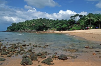 Palm trees, umbrellas, beach at Coral Beach Resort on the island of Ko Lanta, Thailand, December