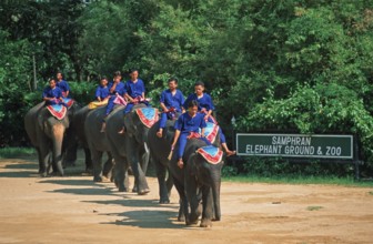Performance with elephants at Samphran Elephant Ground and Zoo near Bangkok, Thailand, December
