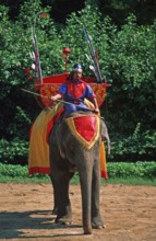 Performance with elephants at Samphran Elephant Ground and Zoo near Bangkok, Thailand, December