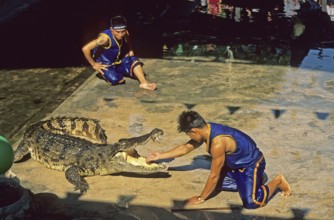 Performance with crocodiles at Samphran Elephant Ground and Zoo near Bangkok, Thailand, December